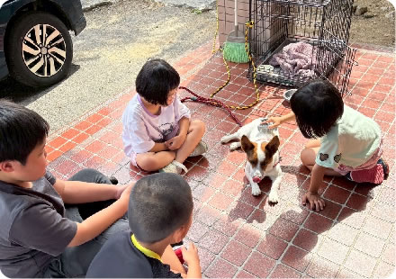音楽療法と心理療法を取り入れた特別な療育