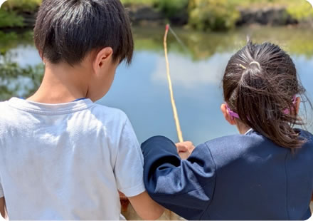 ホロホロの活動内容について
