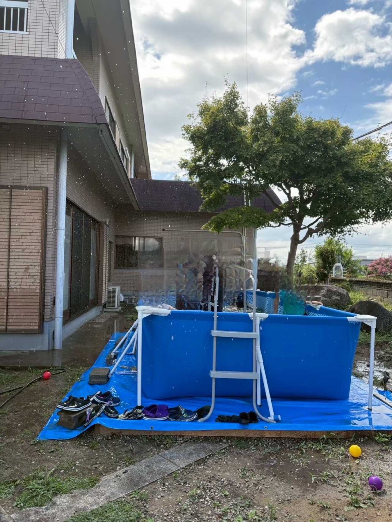 保護中: 夏の思い出