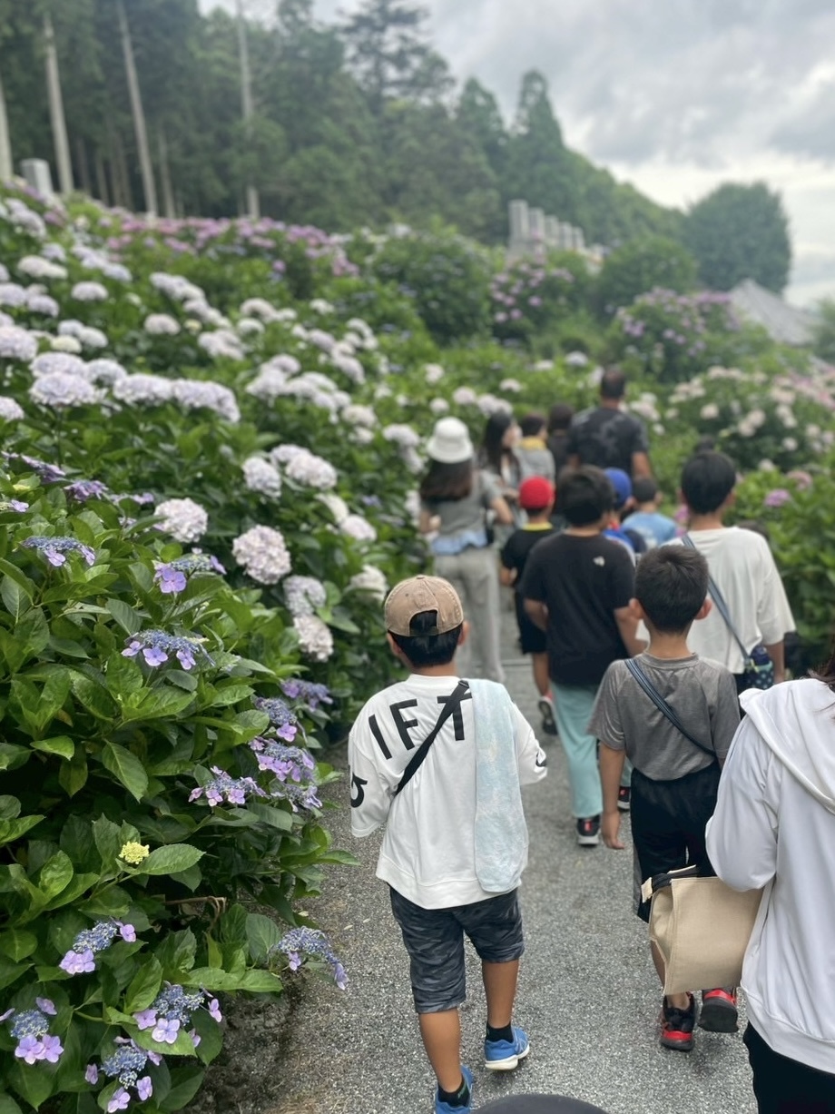 保護中: レッツゴー！